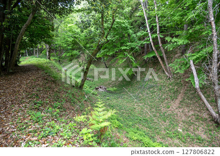 Takiyama Castle: Dry moat around Ninomaru 127806822