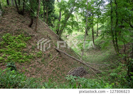 瀧山城:二之丸及其周圍的護城河 瀧山城:二之丸及其周圍的護城河 127806823