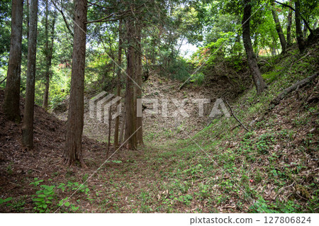 Takiyama Castle: Dry moat around the Ninomaru large horse-shed 127806824