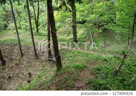 Takiyama Castle: Ninomaru Horse Court and Earthen Bridge 127806828