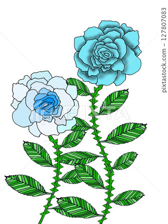 Blue roses having fun lap dancing 127807083
