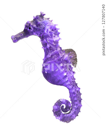 Purple Seahorse 127807140