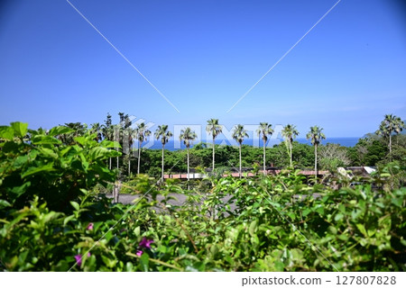 薩摩半島長崎鼻的美麗風景 薩摩半島長崎鼻的美麗風景 127807828