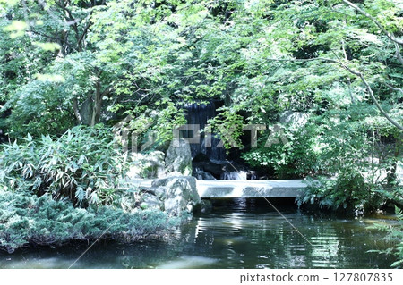 景觀與綠色 127807835