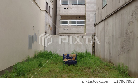 An empty space with a sofa 127807898