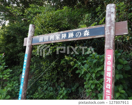 前田利家露營地森林 127807911