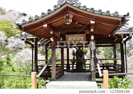Kyoto City: Happy Jizo and weeping cherry blossoms in full bloom at Zenbouji Sakura Hydrangea Garden 127808186