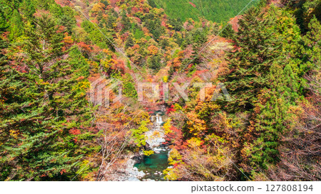 土chi峽（秋天） 127808194