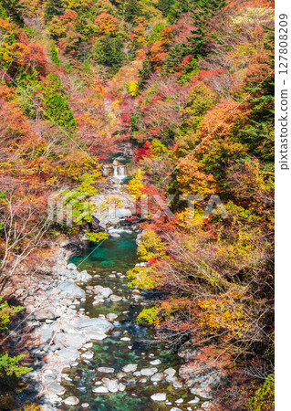 土chi峽（秋天） 127808209