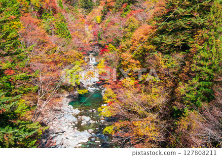 Tsuchikyo Gorge (Autumn) 127808211