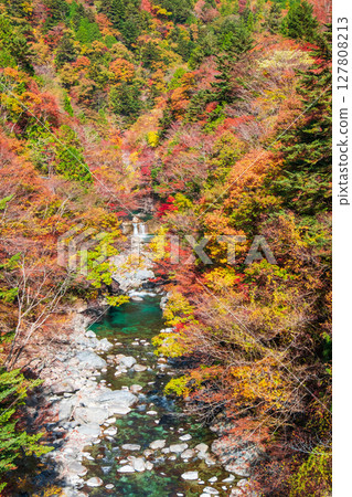 Tsuchikyo Gorge (Autumn) Tsuchikyo Gorge (Autumn) 127808213