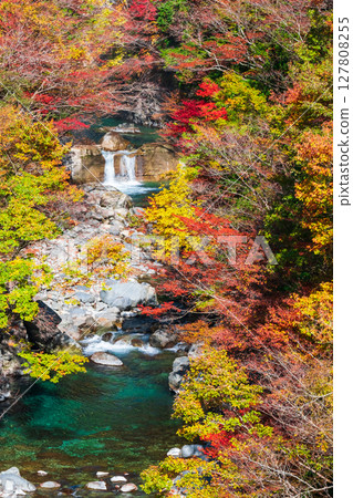 Tsuchikyo Gorge (Autumn) Tsuchikyo Gorge (Autumn) 127808255