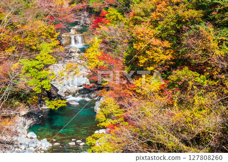 Tsuchikyo Gorge (Autumn) 127808260