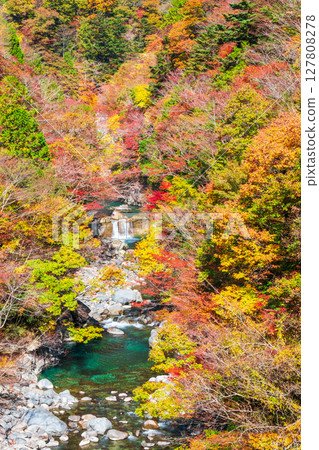 Tsuchikyo Gorge (Autumn) Tsuchikyo Gorge (Autumn) 127808278