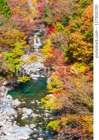Tsuchikyo Gorge (Autumn) 127808280