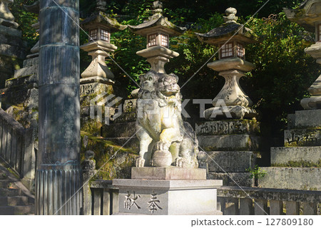 香川縣金刀比羅神社櫻木町西端銅牌坊門前的狛犬(守護獅子)-2 香川縣金刀比羅神社櫻木町西端銅牌坊門前的狛犬(守護獅子)-2 127809180