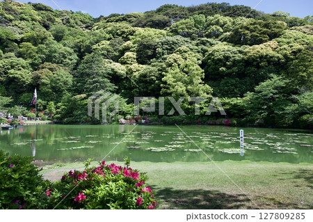 Umi Jigoku in Beppu City, Oita Prefecture 127809285