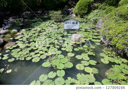 Umi Jigoku in Beppu City, Oita Prefecture 127809286