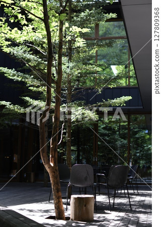 景觀與綠色 景觀與綠色 127809368