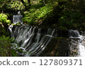A waterfall surrounded by fresh greenery 127809371