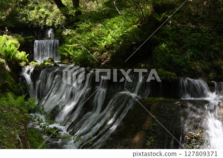 A waterfall surrounded by fresh greenery A waterfall surrounded by fresh greenery 127809371