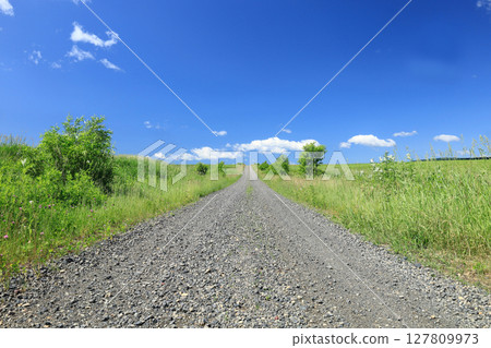Summer in Hokkaido: Country road leading to the sky, gravel road 127809973