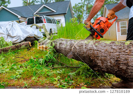 Worker cuts down fallen tree with chainsaw in suburban neighborhood after storm Worker cuts down fallen tree with chainsaw in suburban neighborhood after storm 127810189