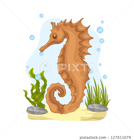 Illustration of Seahorse Illustration of Seahorse 127811079