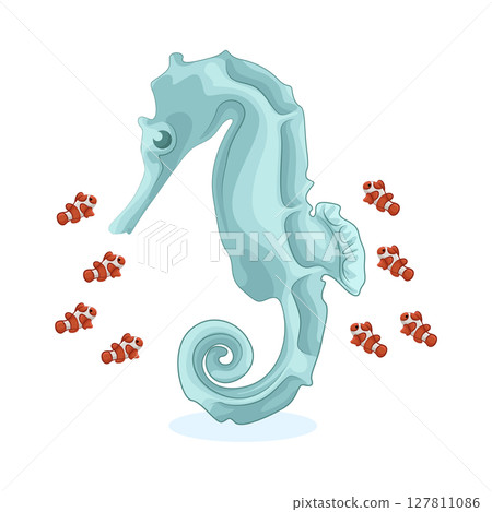 Illustration of Seahorse Illustration of Seahorse 127811086
