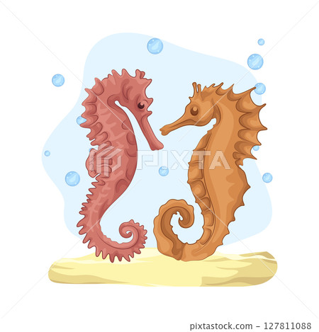 Illustration of Seahorse 127811088