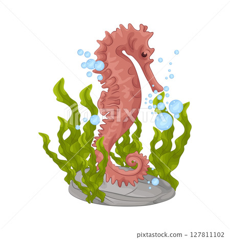 Illustration of Seahorse 127811102
