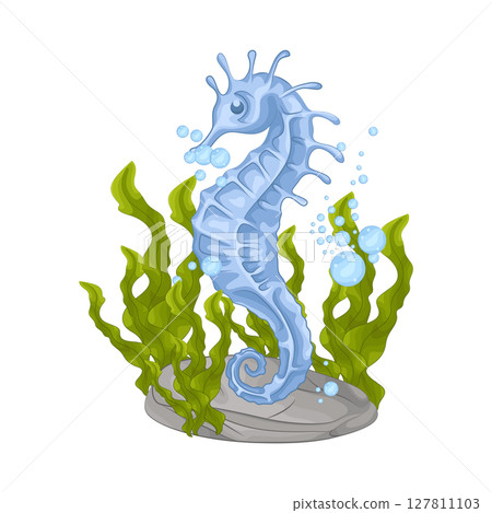 Illustration of Seahorse Illustration of Seahorse 127811103