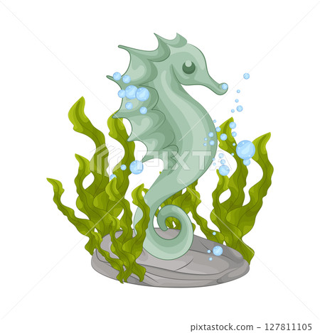 Illustration of Seahorse Illustration of Seahorse 127811105