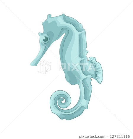 Illustration of Seahorse Illustration of Seahorse 127811116