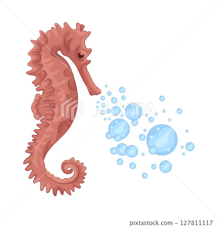 Illustration of Seahorse Illustration of Seahorse 127811117