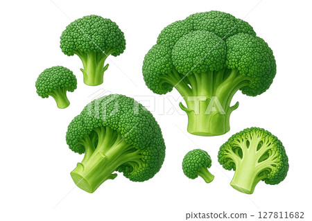 Broccoli [whole and sliced, cut-out illustration] 127811682
