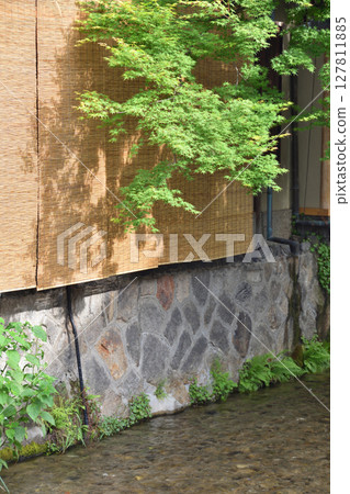 白川町藍色秋葉 白川町藍色秋葉 127811885