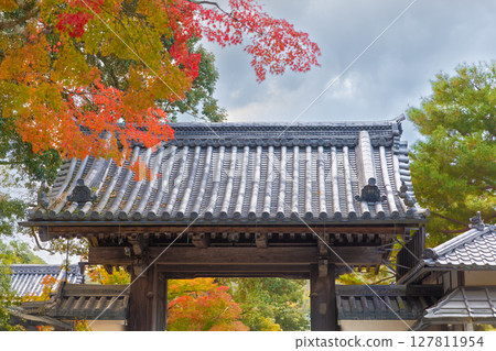 Red maple leaves in autumn at Kinkaku-ji temple in Kyoto, Japan. Red maple leaves in autumn at Kinkaku-ji temple in Kyoto, Japan. 127811954