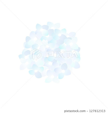 繡球花的插圖 127812313