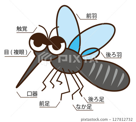 蚊子的插圖 127812732