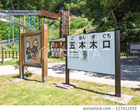 Gohonkiguchi, "21st Century Forest and Square" in Matsudo City, Chiba Prefecture Gohonkiguchi, "21st Century Forest and Square" in Matsudo City, Chiba Prefecture 127812858