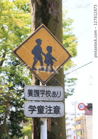 Traffic signs: School route road signs Traffic signs: School route road signs 127812873