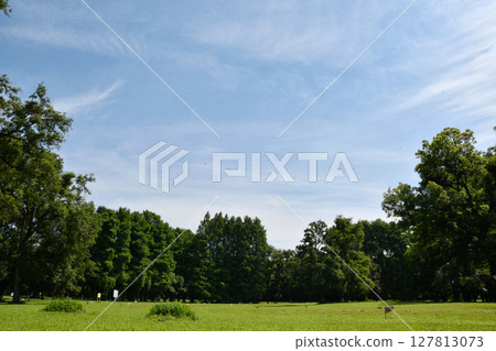 Akigase Park Forest_03 Akigase Park Forest_03 127813073