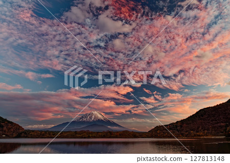 Mount Fuji in the afterglow as seen from Lake Shojiko 127813148
