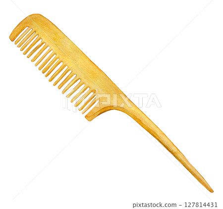 Watercolor illustration, hand-drawn illustration, boxwood comb 127814431