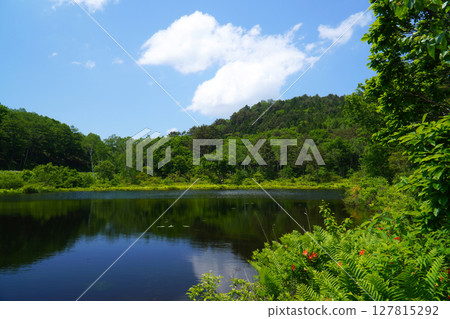 初夏的志賀高原一沼 初夏的志賀高原一沼 127815292