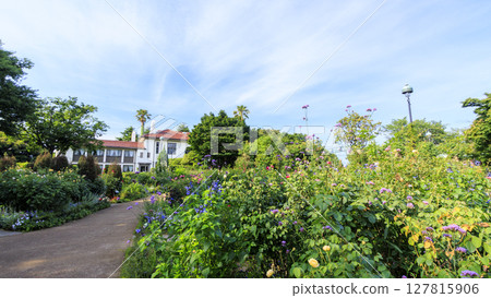 Summer at Harbor View Park 127815906