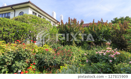 海港景觀公園的夏天 海港景觀公園的夏天 127815909