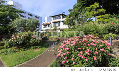 海港景觀公園的夏天 127815910