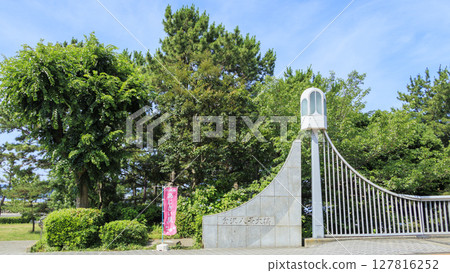 Hydrangea of Hakkeijima Hydrangea of Hakkeijima 127816252